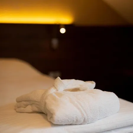 Wellness Jason فندق